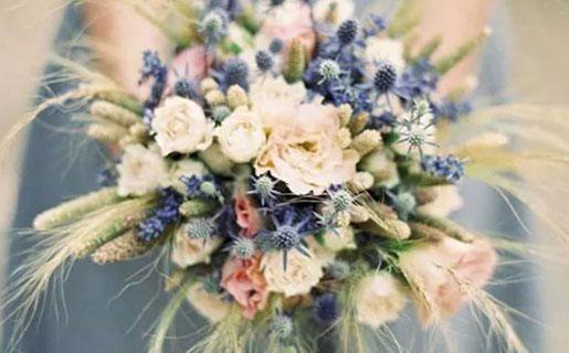 12星座人休的12個部位 12星座人休的12個部位