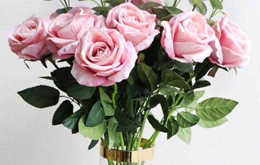 男金牛座三區和女金牛座一區配對