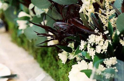 哪個星座的人最短命 哪個星座的人最短命