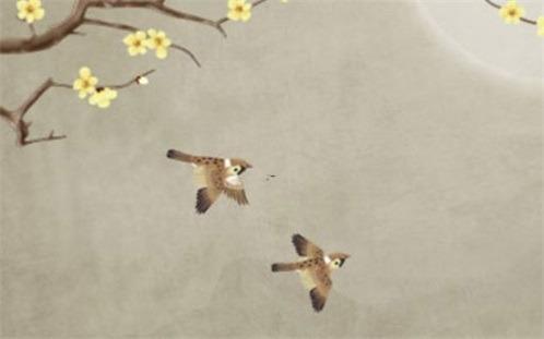 星座薄情寡義 星座薄情寡義