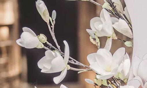 進取型女人(生日1,5,8,10,14,15,17,23,25) 進取型女人(生日1,5,8,10,14,15,17,23,25)