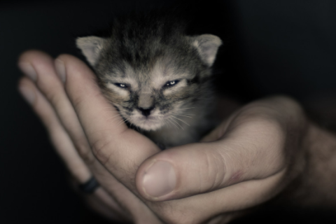 發財最猛的祖墳風水 發財祖墳風水講究