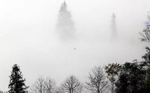 屬龍2023年屬狗的運(yùn)勢 屬龍2023年屬狗的運(yùn)勢