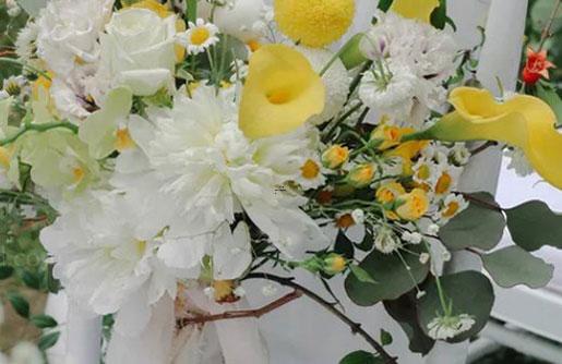 男金牛座一區(qū)和女天秤座三區(qū)配對 男金牛座一區(qū)和女天秤座三區(qū)配對