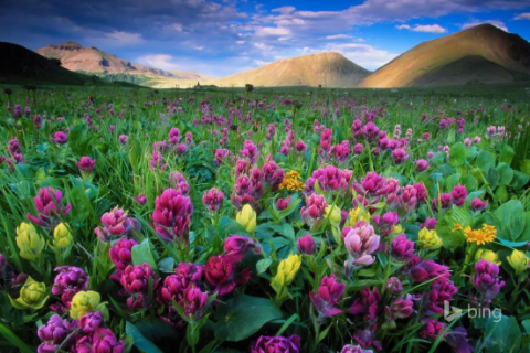 qq名字男生帶符號 qq名字男生帶符號傷感