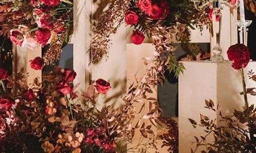 星幣 代表 星座 星幣 代表 星座