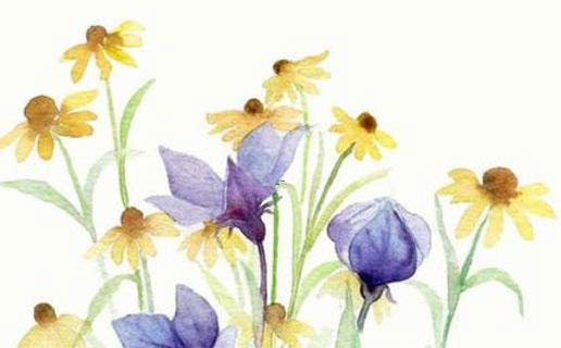 好聽的魔女的名字 好聽的魔女的名字