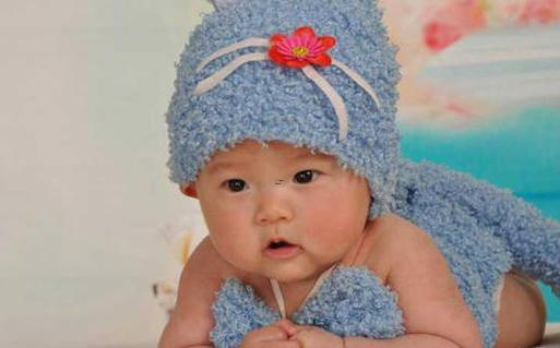 惠比特犬好聽的名字 惠比特犬好聽的名字