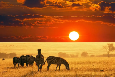 巨蟹座和什么座最配 巨蟹座最配什么星座的男生