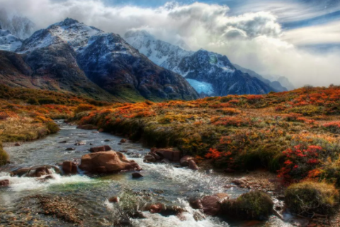 雞和狗的屬相合不合 雞和狗在一起對誰不利