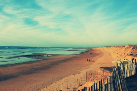 屬牛性格特點(diǎn)及脾氣 屬牛的特點(diǎn)與性格