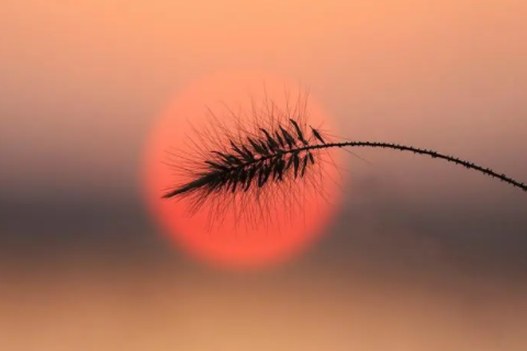 馮姓男孩起名滿分名字 馮姓起名大全免費