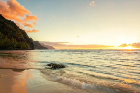 屬虎和屬蛇的夫妻結局 虎和蛇配了要注意什么