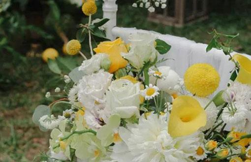 男處女座一區和女摩羯座三區配對 男處女座一區和女摩羯座三區配對