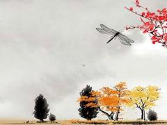 屬兔的人2023年怎么樣