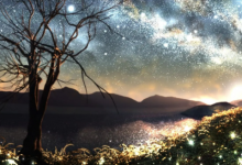 87年最佳婚配 87年婚配屬什么最合適