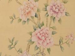 2023年有哪些犯太歲的