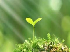 夢見在釣魚是什么意思是什么意思