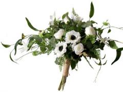 天秤女的最佳好老公星座