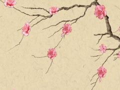 屬猴人3月份運勢2023