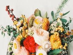 情商較低的星座