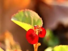 夢見借雷發(fā)電