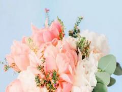 上升星座看塑身兼造型