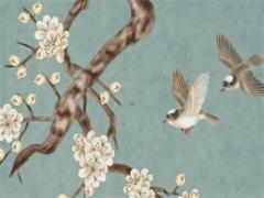 屬龍2023適合顏色