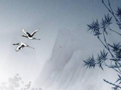 在一起久了 會(huì)越來越像的星座配對(duì)