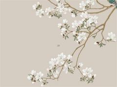 星座面對(duì)麻煩誰能冷靜處理