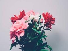 農歷十五出生的人性格命運好不好?