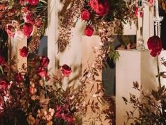 星幣 代表 星座