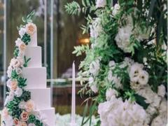 天秤座與哪些星座不合