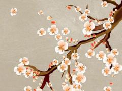 五月份生的男孩取什么名字好牛