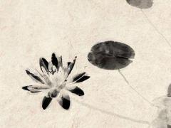 取一個好聽的主播名字