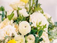 8月20日生日書,8月20日是什么星座:獅子座