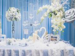 依賴感最重的星座