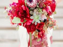 男獅子座三區(qū)和女獅子座三區(qū)配對