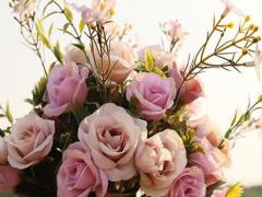 雙子座 上升星座天蝎