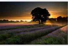 弱冠之年是什么意思?弱冠之年是多少歲