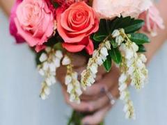 十二星座靠什么手段sharen