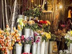 男天蝎座三區和女水瓶座三區配對