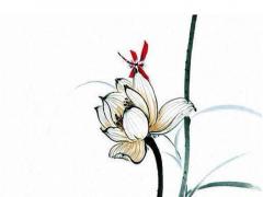 起名字2022起名女孩