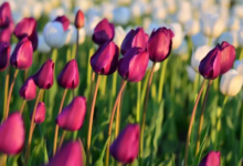 微信名字大全男成熟 微信名字男有內(nèi)涵豐富