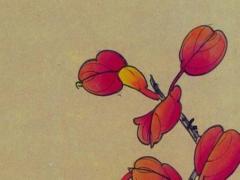 92年屬猴的人最心軟了 92年屬猴的脾氣怎么樣