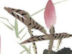 屬羊的虎年運(yùn)勢2023年