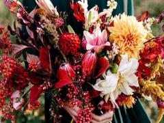 星座代表英雄CP一樣