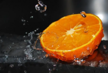 屬鼠的幾月出生最好命 屬鼠最好命出生日期