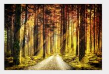 七月15出生八字純陰?七月15出生的是鬼節那天嘛?