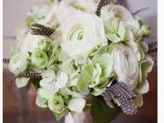 男處女座三區和女水瓶座二區配對